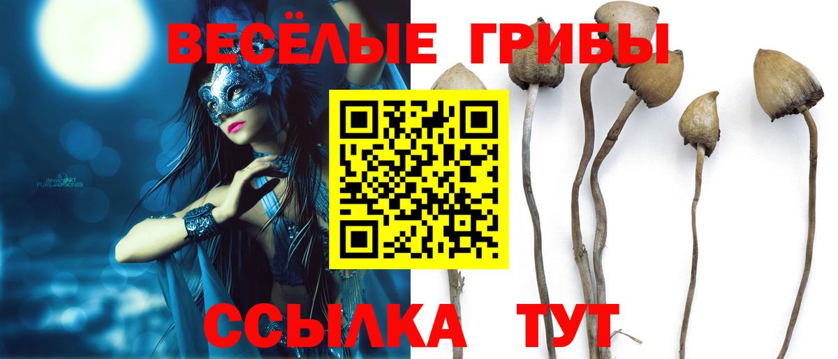 Галлюциногенные грибы Psilocybe  Вход с VPN  Галлюциногенные грибы ЛСД  Реж 